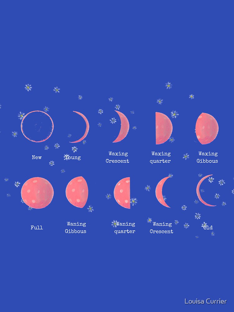 Mushmoon - phases of the moon mushrooms by Louisa Currier