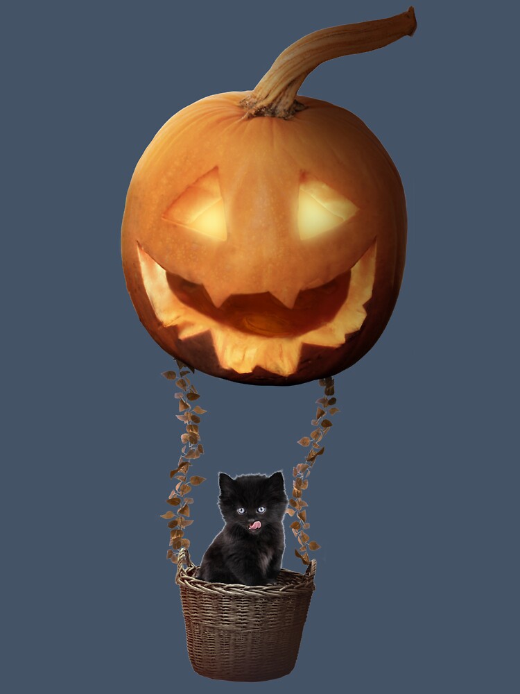 Halloween Black Cat and the Jack-O-Lantern Pumpkin by Last Ray Visuals