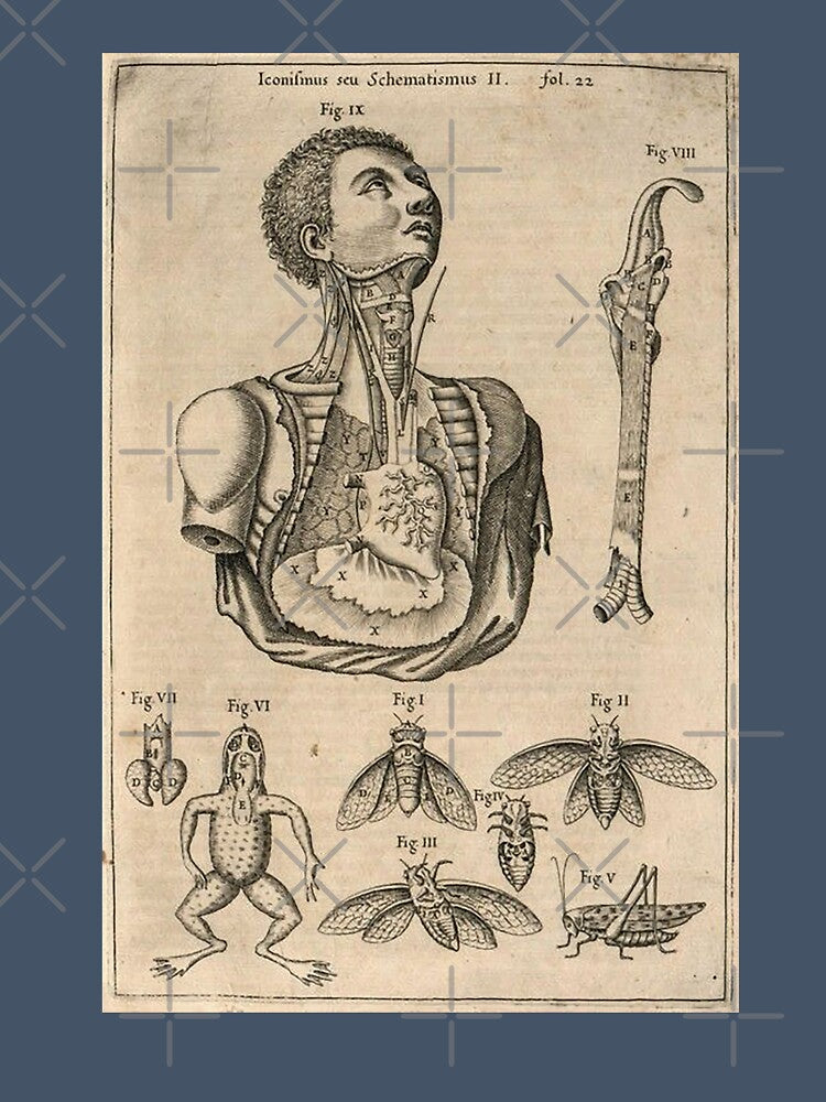 Bizarre VIntage Medical Illustration Dark Art Aesthetic Dark Academia by CattlettArt