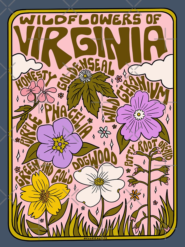 Virginia Wildflowers by doodlebymeg