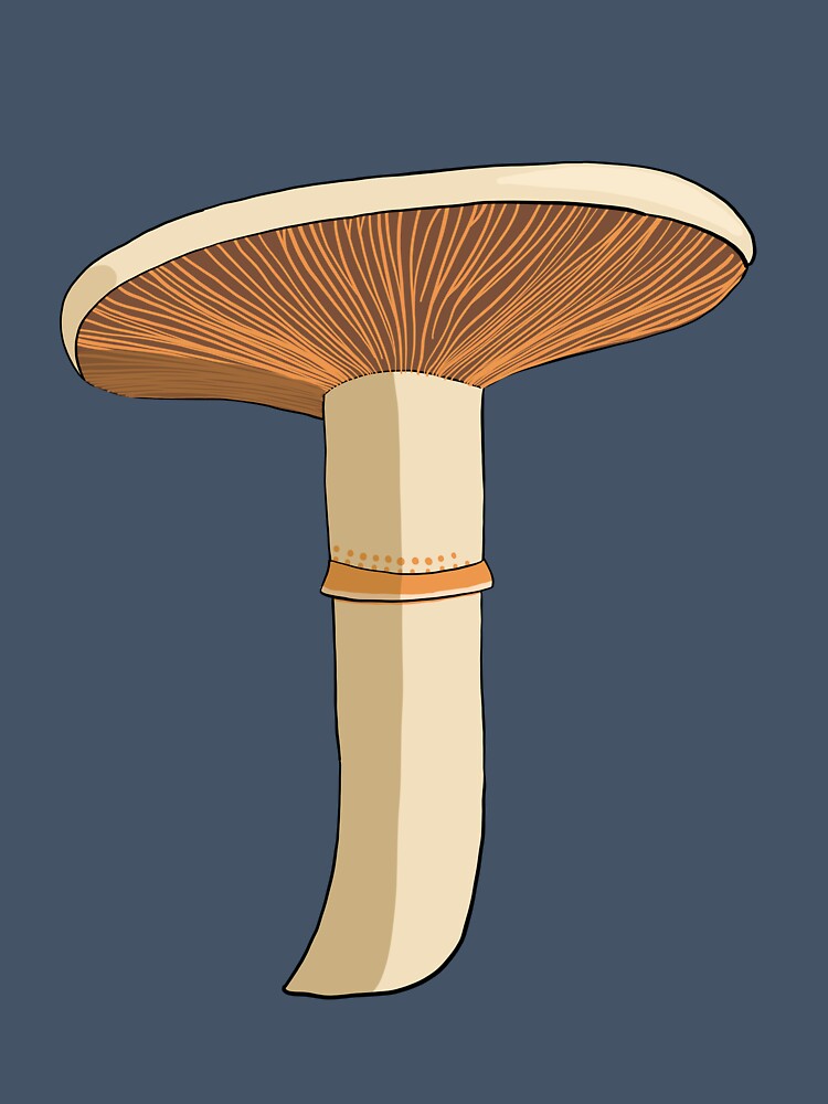 Poplar Mushroom by wolkedesign