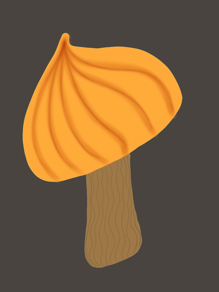 Pumpkin mushroom by EarthlingHelena
