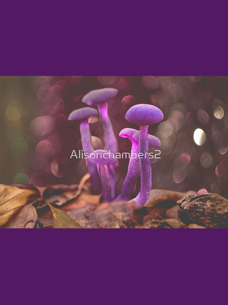 Amethyst Deceiver Mushroom by Alisonchambers2