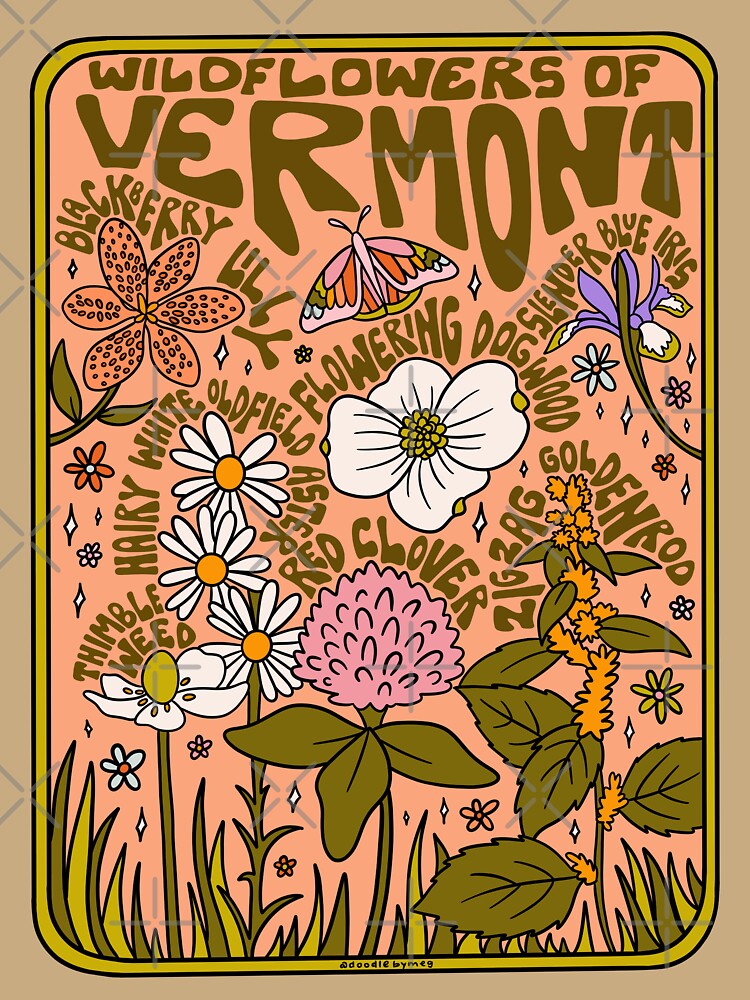 Vermont Wildflowers by doodlebymeg