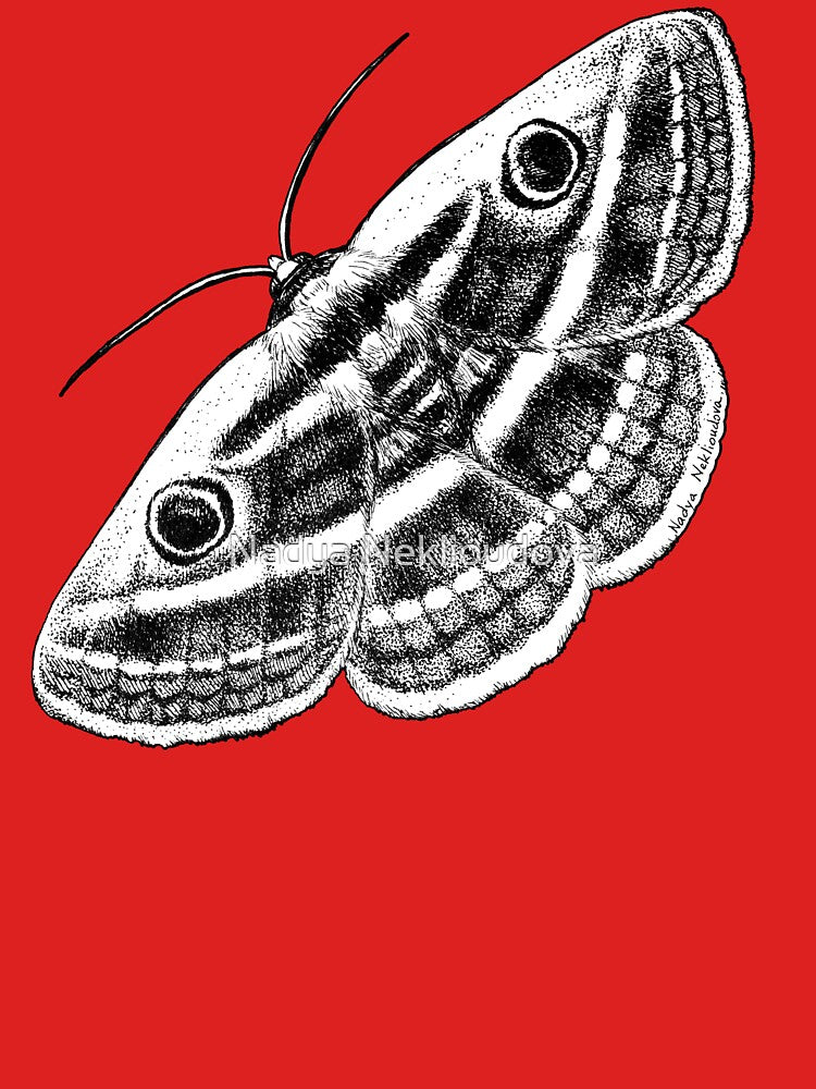 Noctuid Moth angled - Owl Moth - Goth Moth Black & White Drawing by Nadya Neklioudova by Nadya Neklioudova