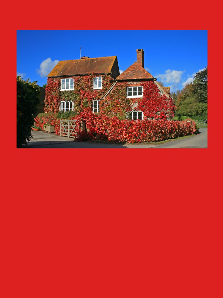 South Downs Farmhouse II by RedHillDigital