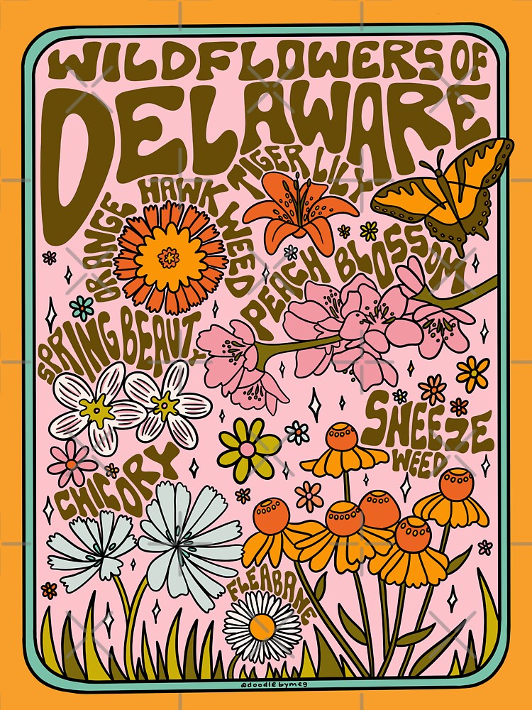 Delaware Wildflowers by doodlebymeg