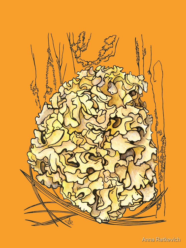 Cauliflower Mushroom Sparassis Crispa Botanical Illustration by Anna Ratkevich