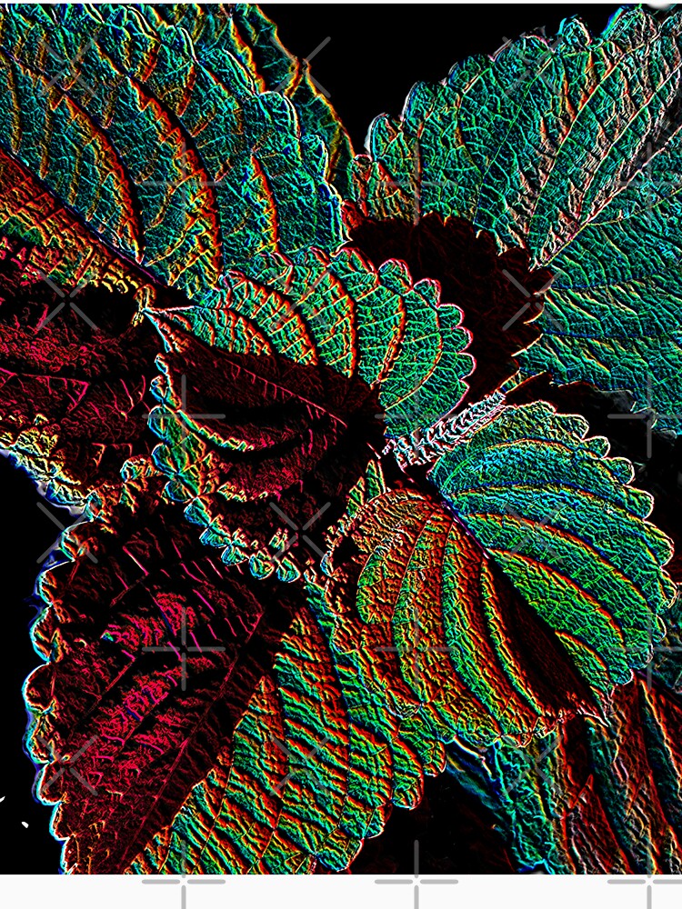 Striking Fall Coleus Floral Neonized Design by ImagistStudio Presents MikesDigs
