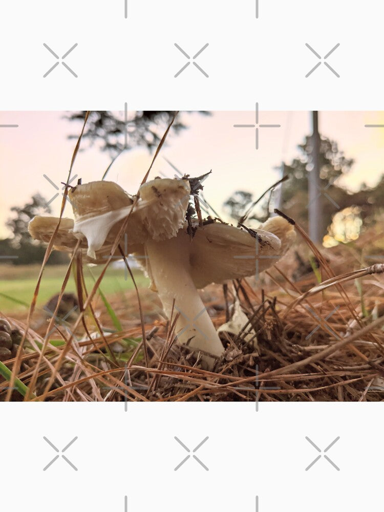 Split Mushroom by TheRealDanniX