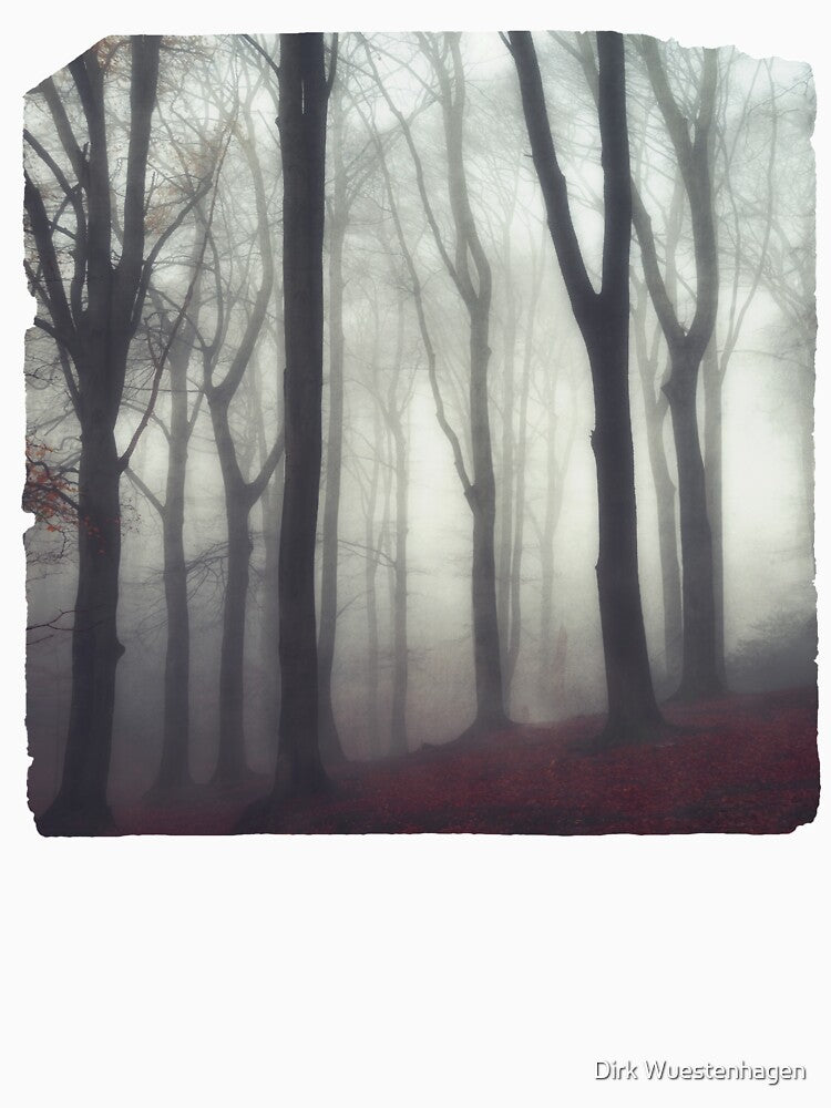 bonds - forest on a foggy day in fall by Dyrk Wyst Redbubble Shop