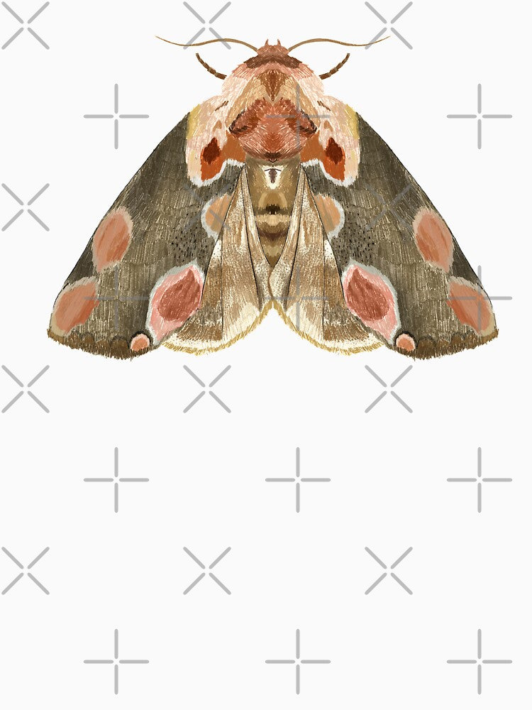 Peach blossom moth by homedecorology
