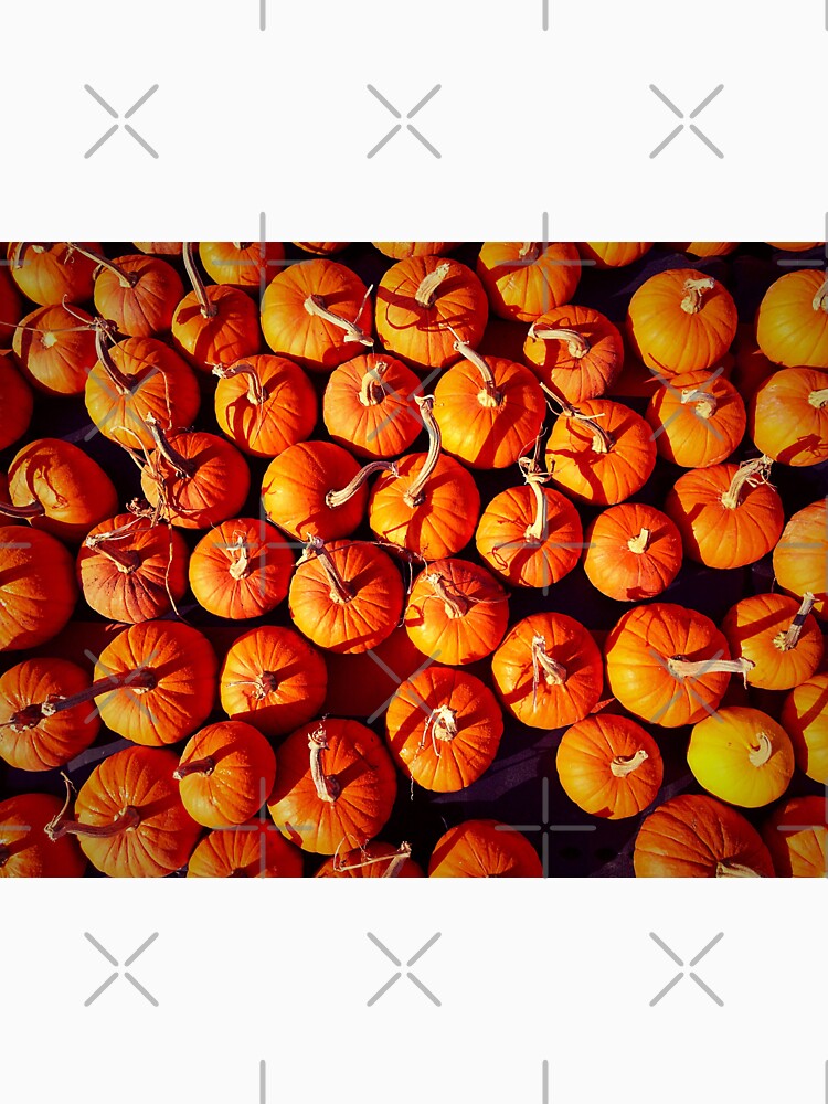 Fall Pumpkin patch photograph by honeyandhive
