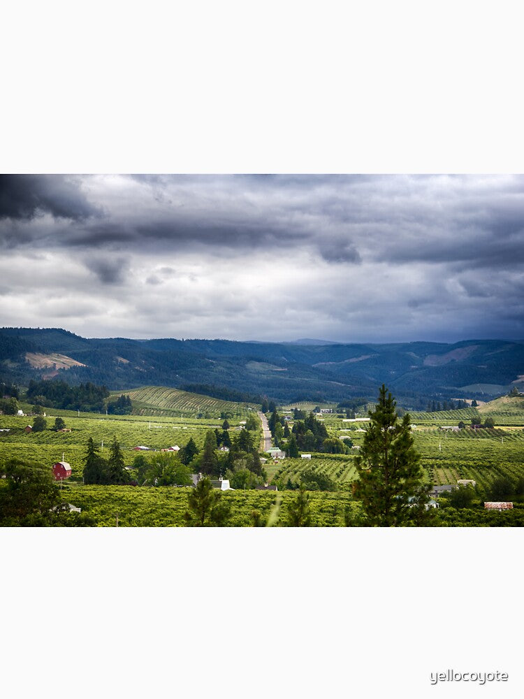 Growing Season by YelloCoyote Photography