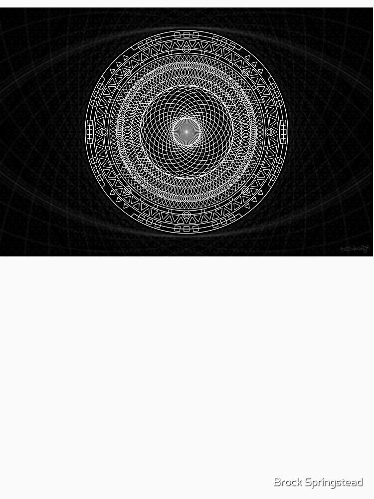 Introspection Illusion by Brock Springstead
