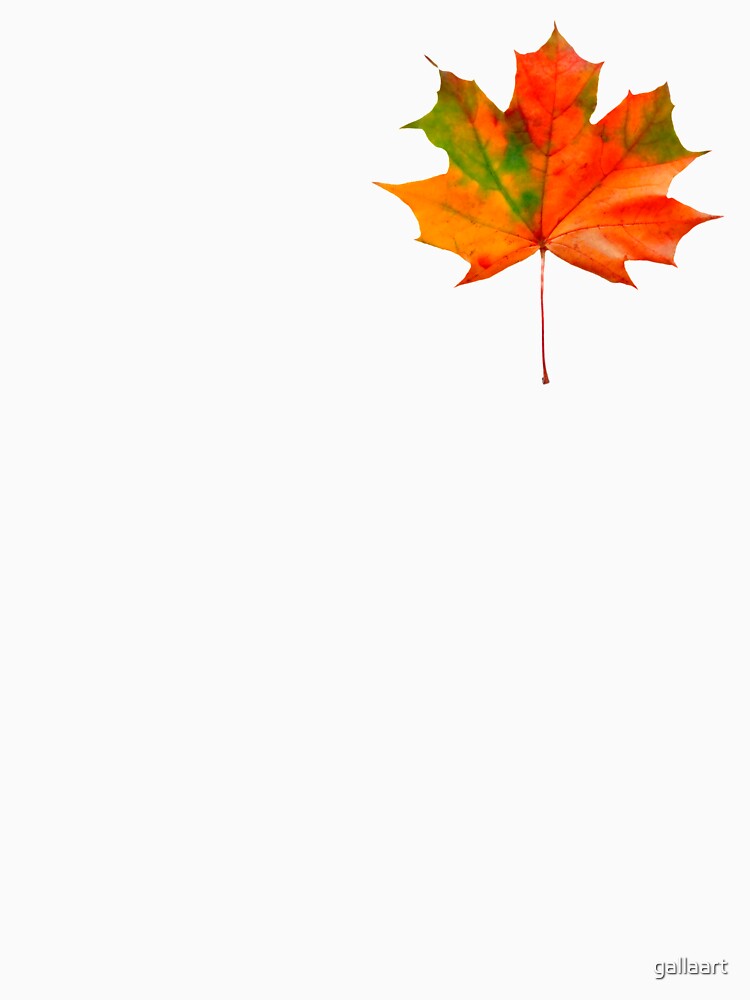 Autumn leaves 2 by gallaart