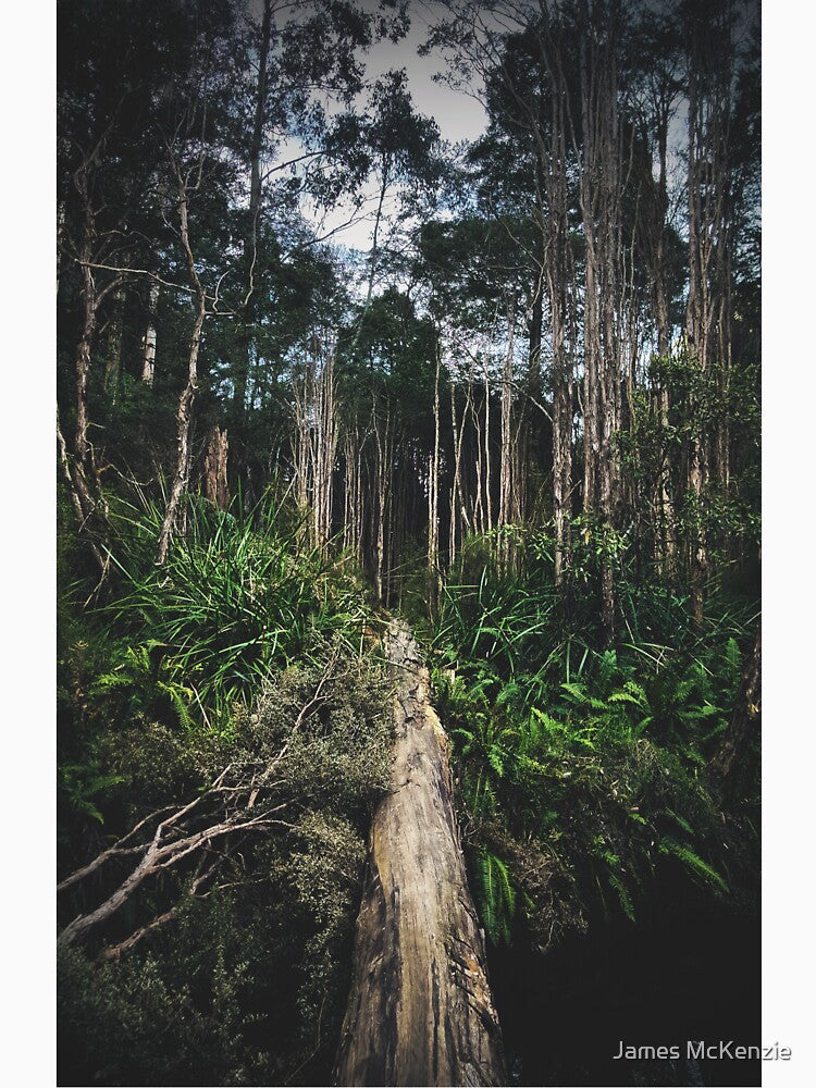 Into The Wilds by James McKenzie
