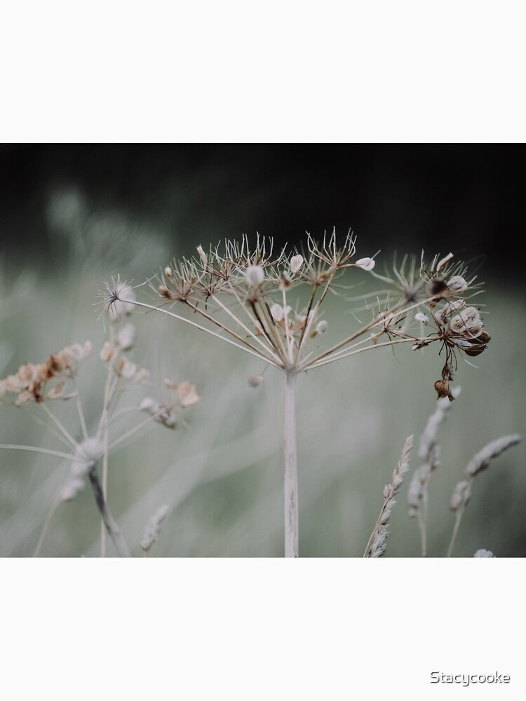 SEEDHEAD THREE by Stacycooke
