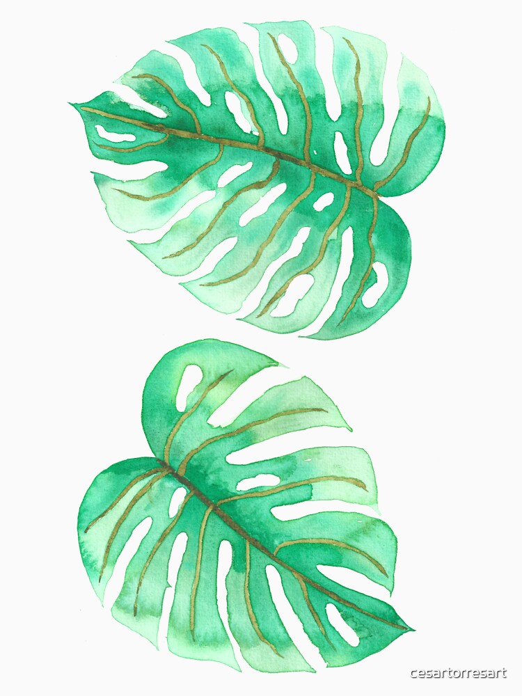 Monstera leaves by cesartorresart