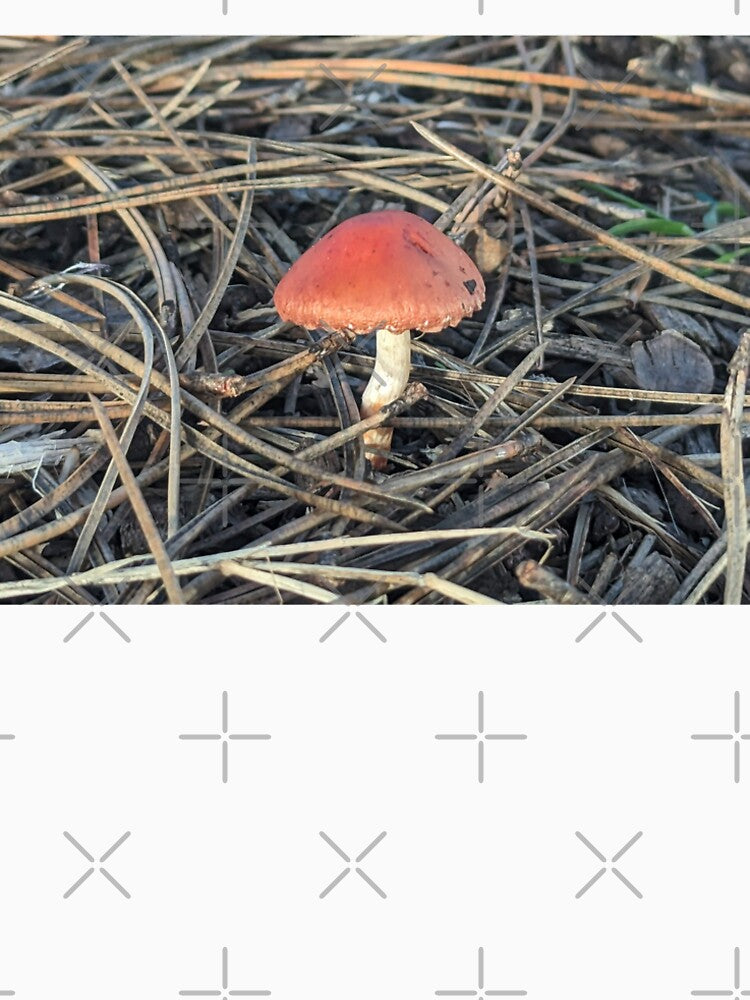 Autumn fungus by Pinky Von Heck