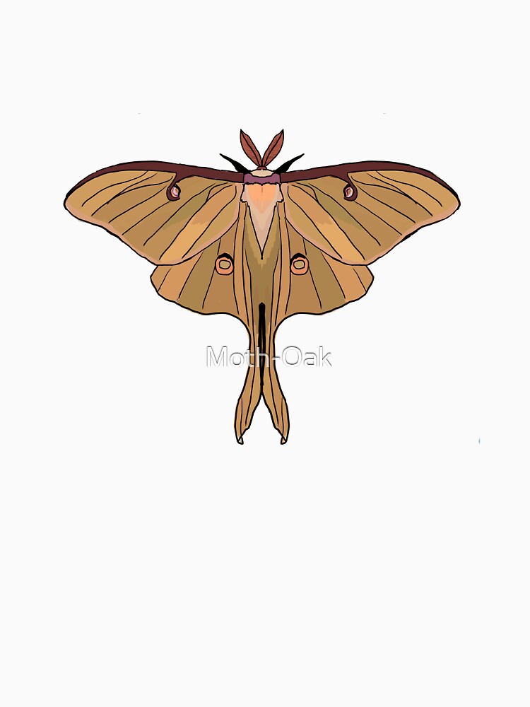 Orange Luna Moth by Moth-Oak