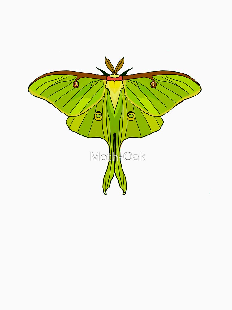 green art nouveau Luna Moth by Moth-Oak