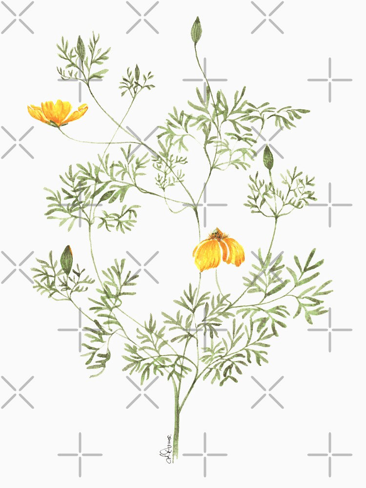 Yellow poppy by PetitMartin