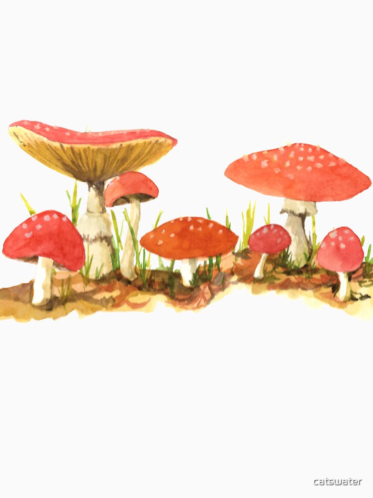 mushroom sprout by catswater