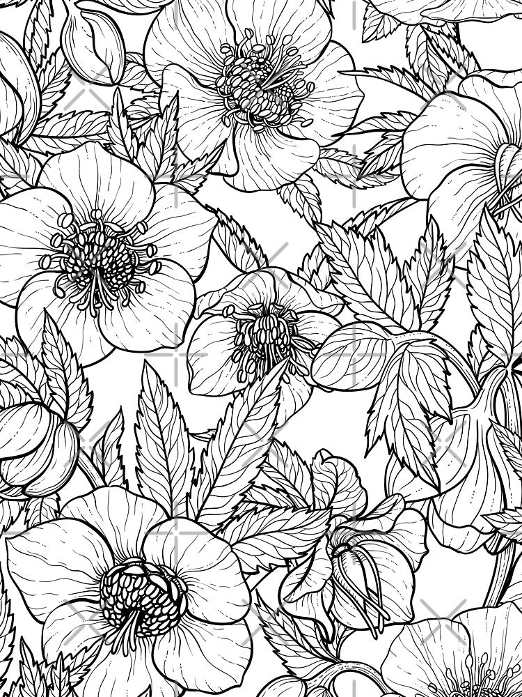 Hellebores in black and white by Katerina Mitkova Kirilova