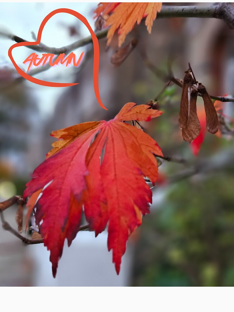 I love autumn. I love autumn and its red leaves. by Dinasshop