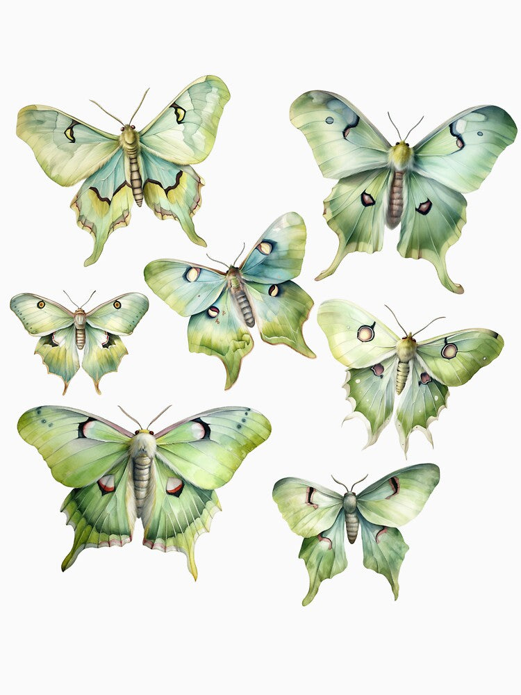 Luna moths by DeliriousHope