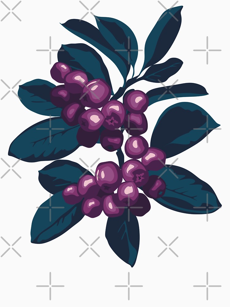 Bunch of ripe chokeberries by lents
