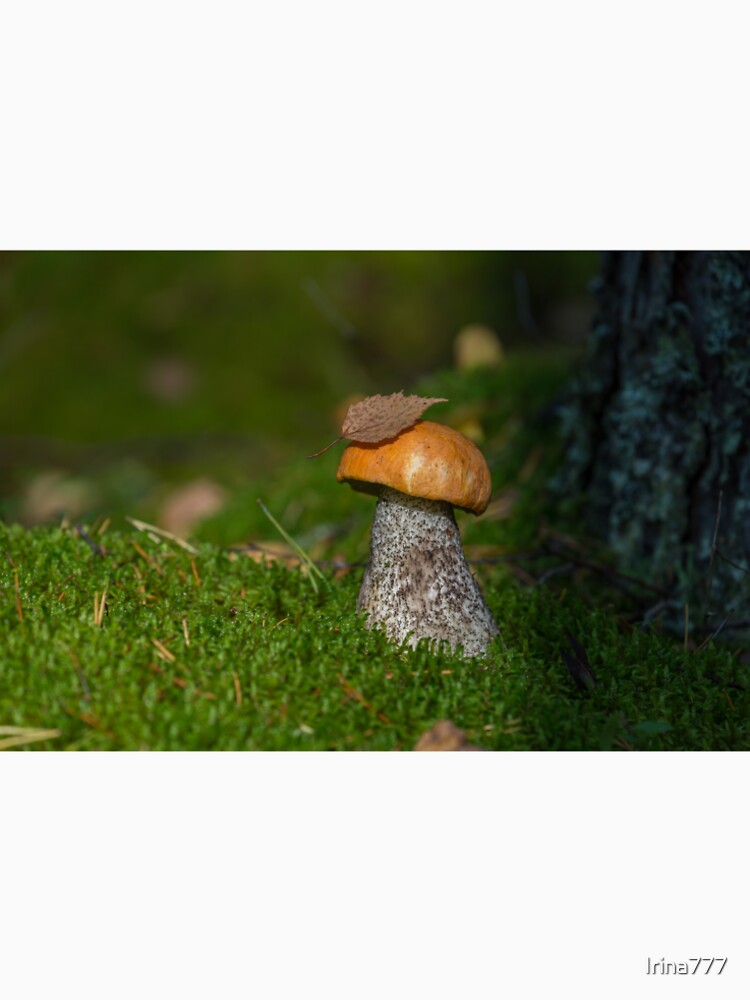 Beautiful autumn mushroom with a leaf in the sun by Irina777