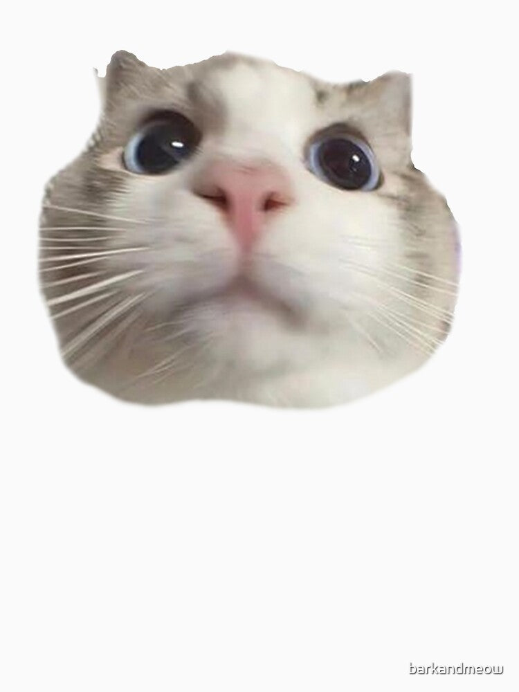 Cute Funny Cat by barkandmeow