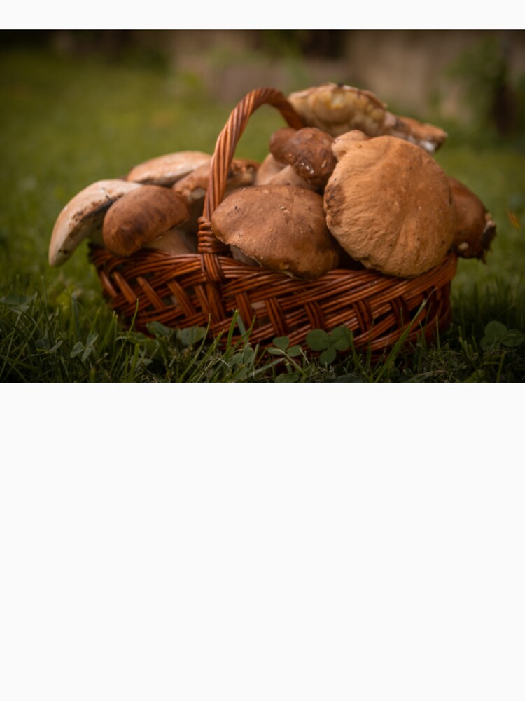 Mushrooms in a basket by YarekPhoto