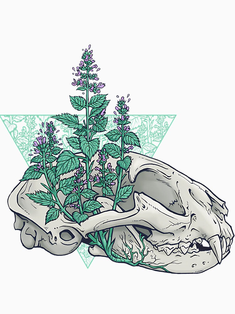 Gothic Cat Skull And Ferns Anatomy by xuxqhpbmr34
