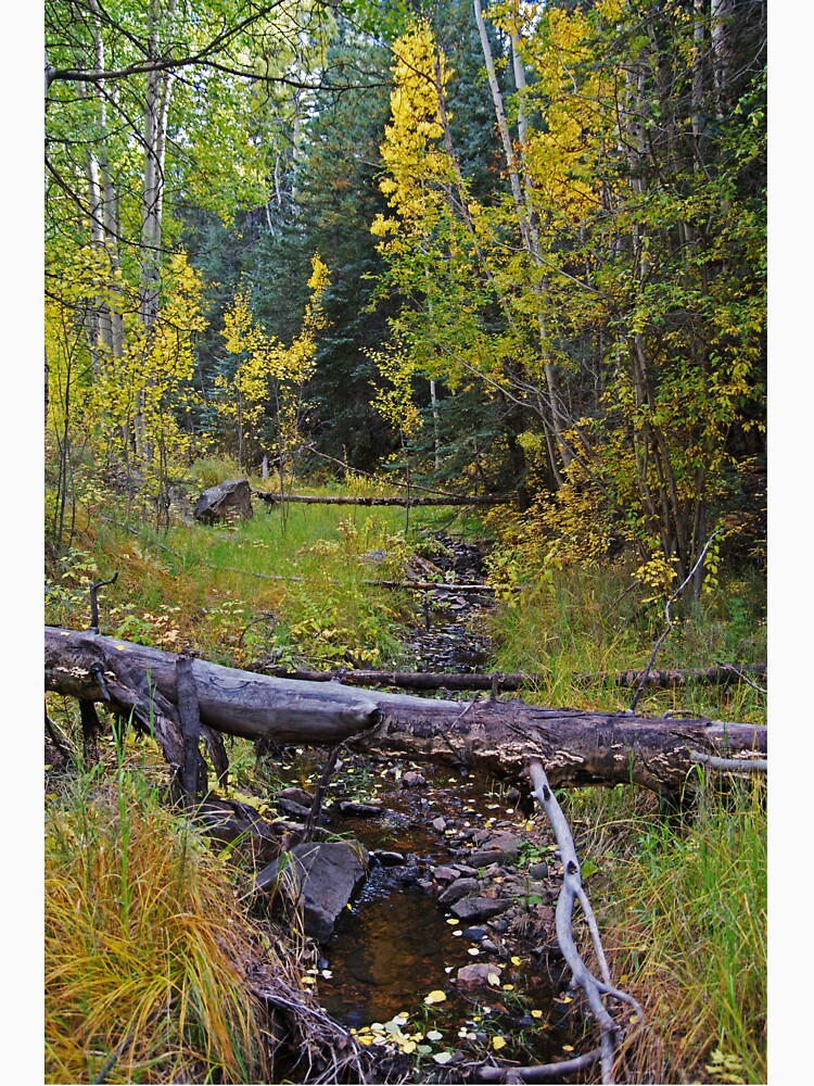 Touch Of Autumn by Gary Benson