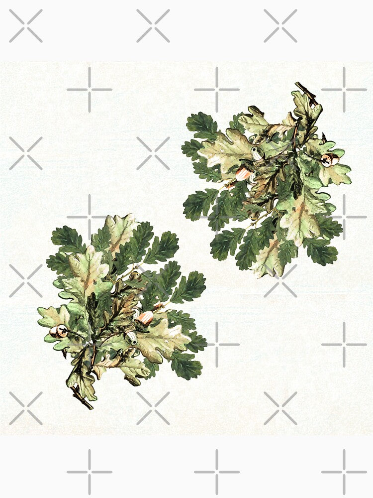 Oak leaf cluster with acorns by anni103