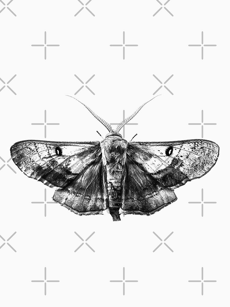 Detailed Black and White Moth Illustration – Vintage Insect Art by inkoutninja
