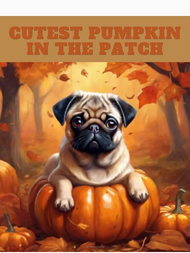 Fawn Fall Pug - Cutest Pumpkin in the Patch by a boy and a pug