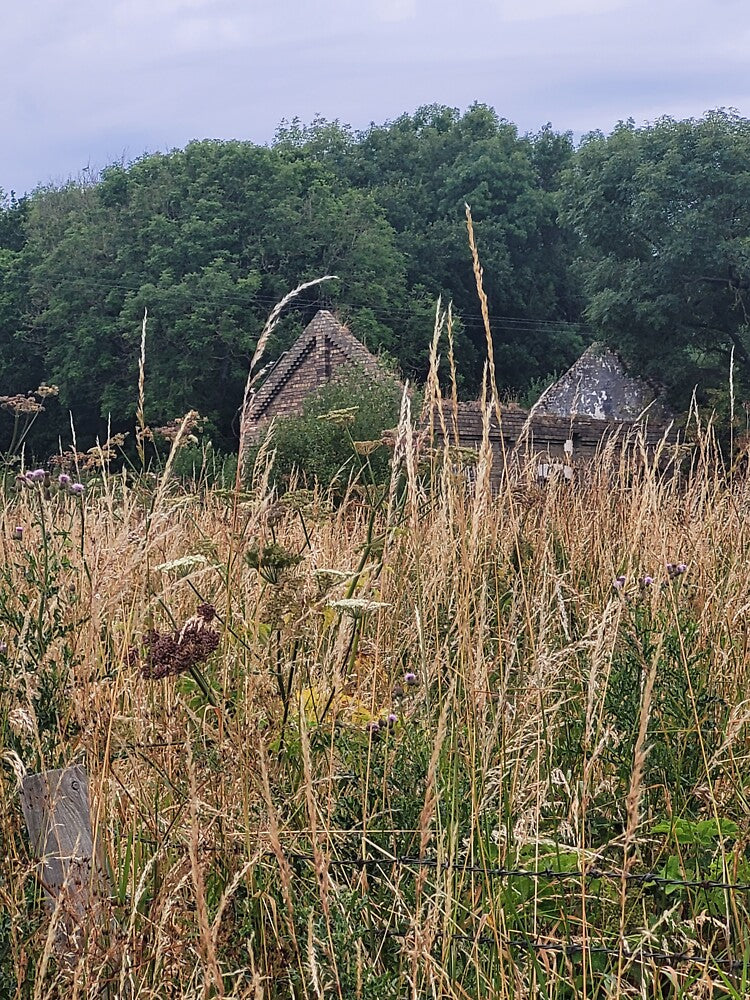 There Once Was a Cottage ... by Atraxura