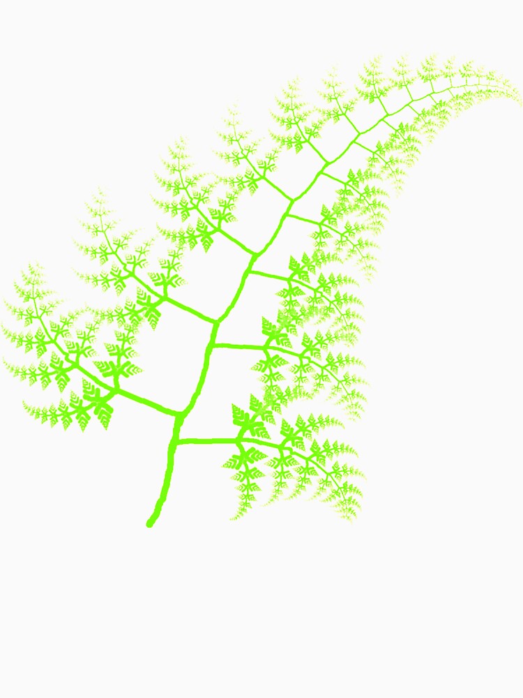 Fractal Fern by FracFuDesign
