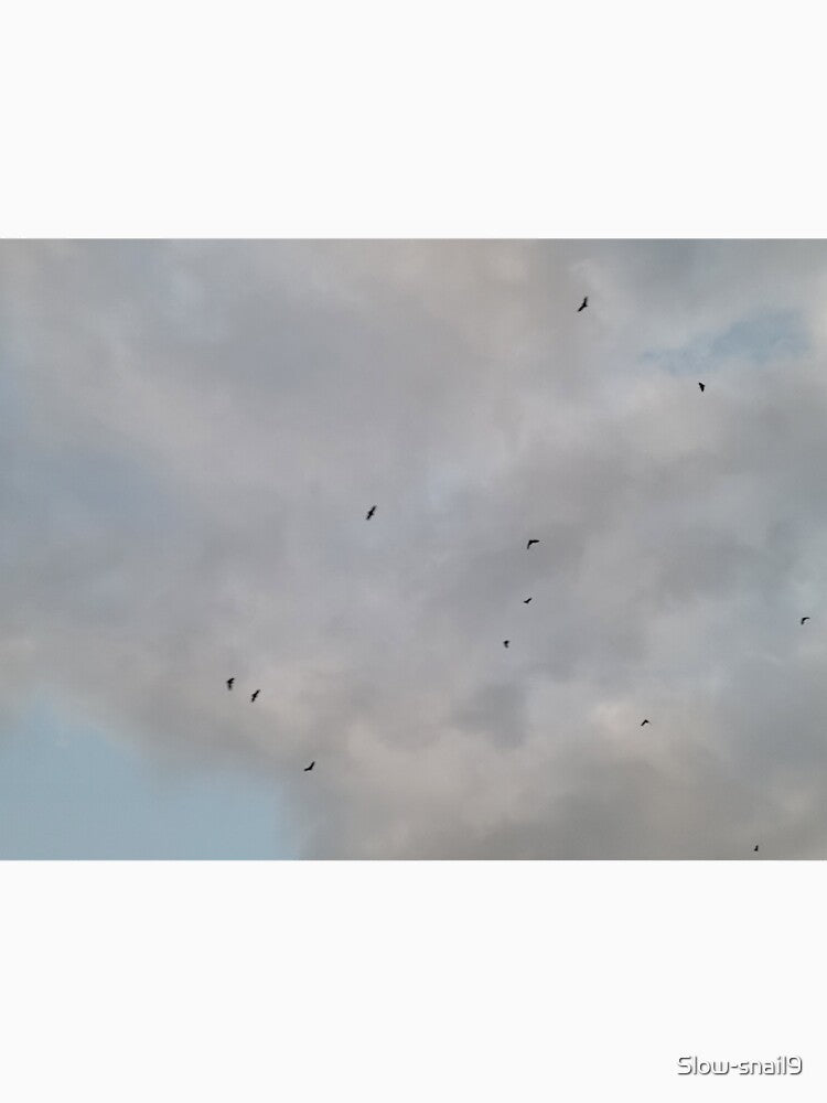 Bats in the sky by Slow-snail9