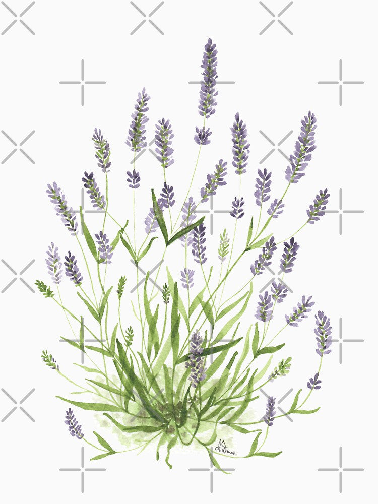 Lavender by PetitMartin
