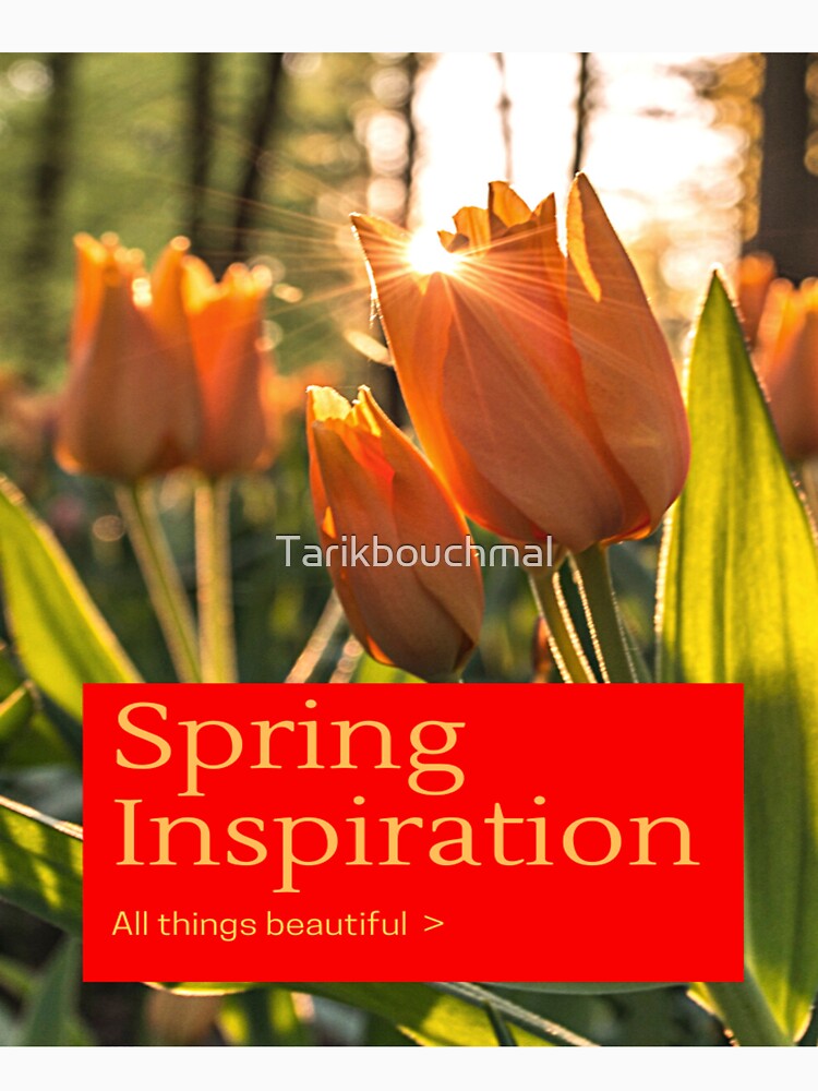 Spring inspiration all things beutiful t-shirt by Tarikbouchmal