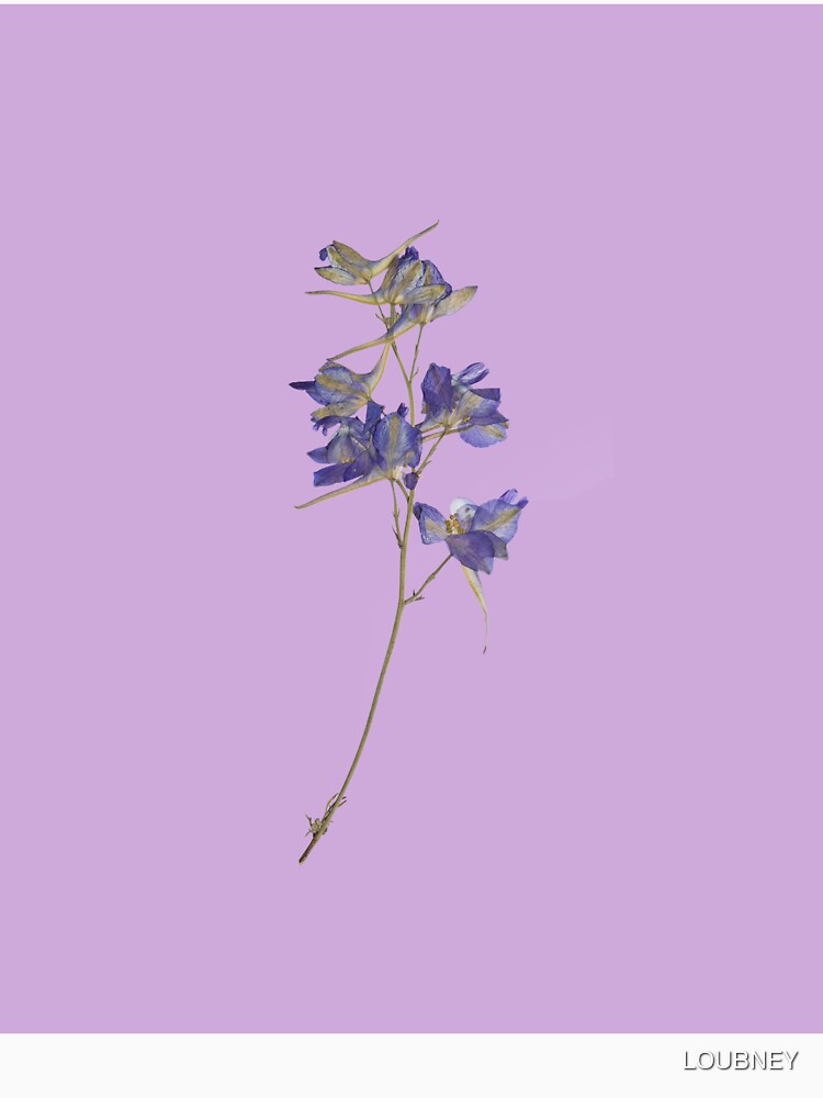 Purple Wildflowers – Soft Botanical Illustration by LOUBNEY
