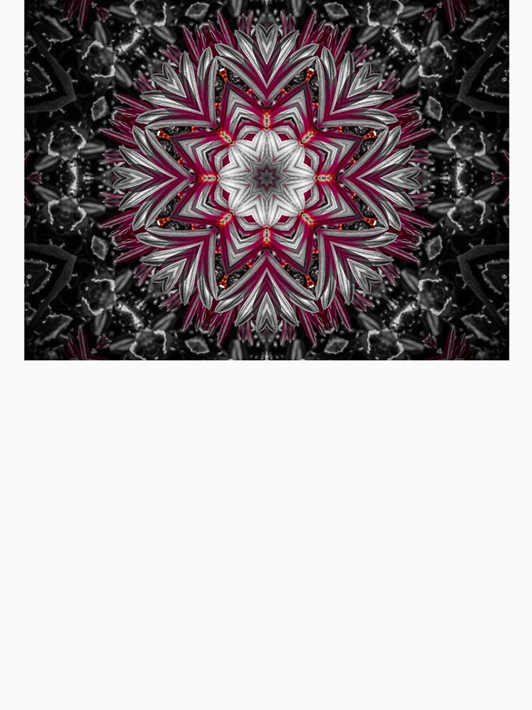 A Mandala of Mums in the Shape of a Star by Sara Graham-Costain