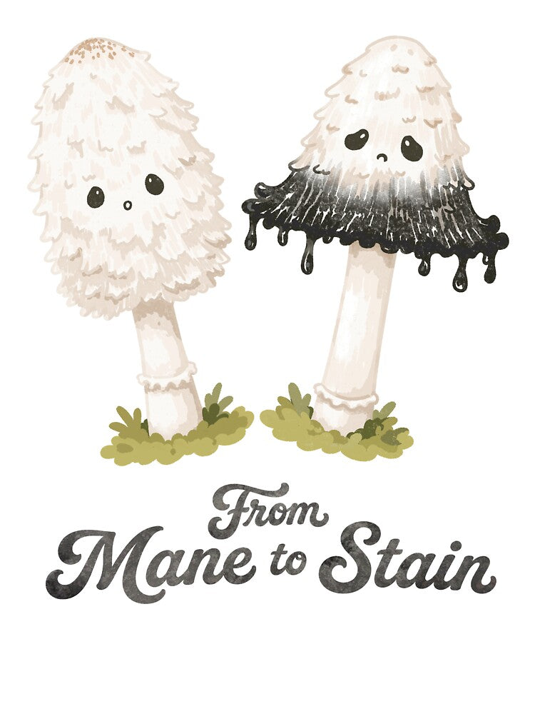From Mane to Stain Shaggy Mane Mushroom by Geta Gato