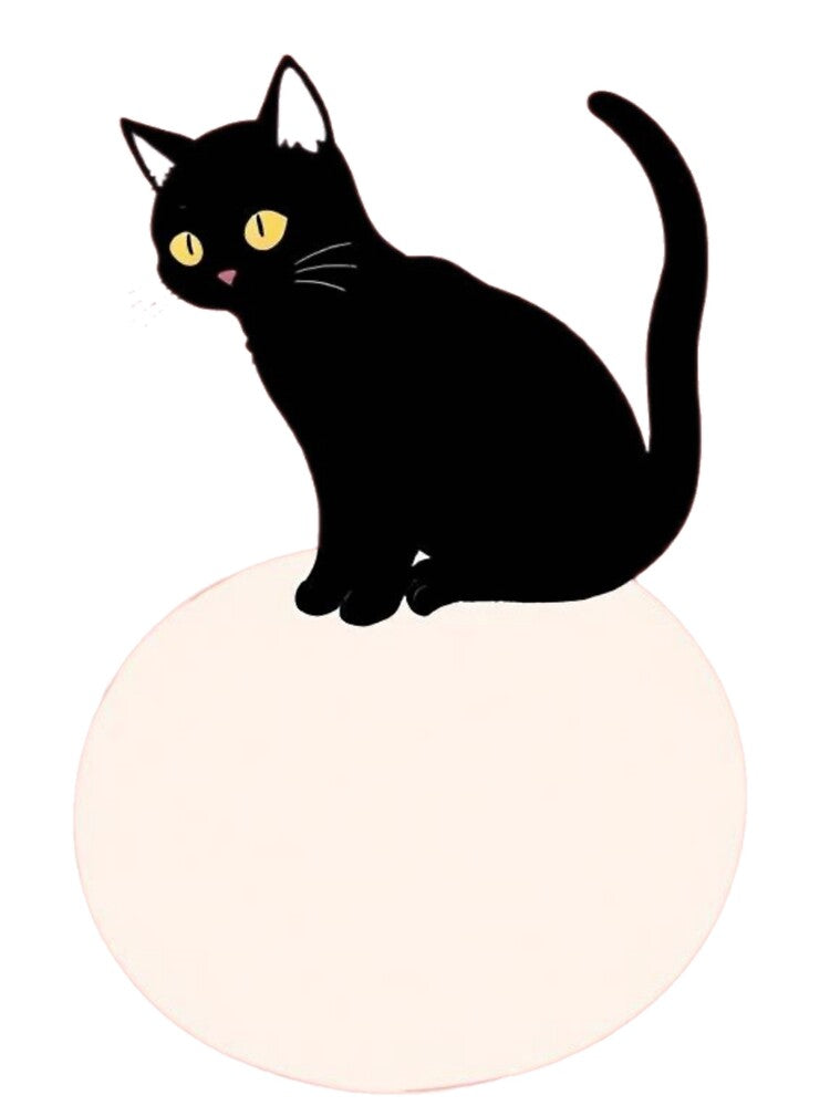 a black cat sitting on top of a white plate by B.P.Fashion