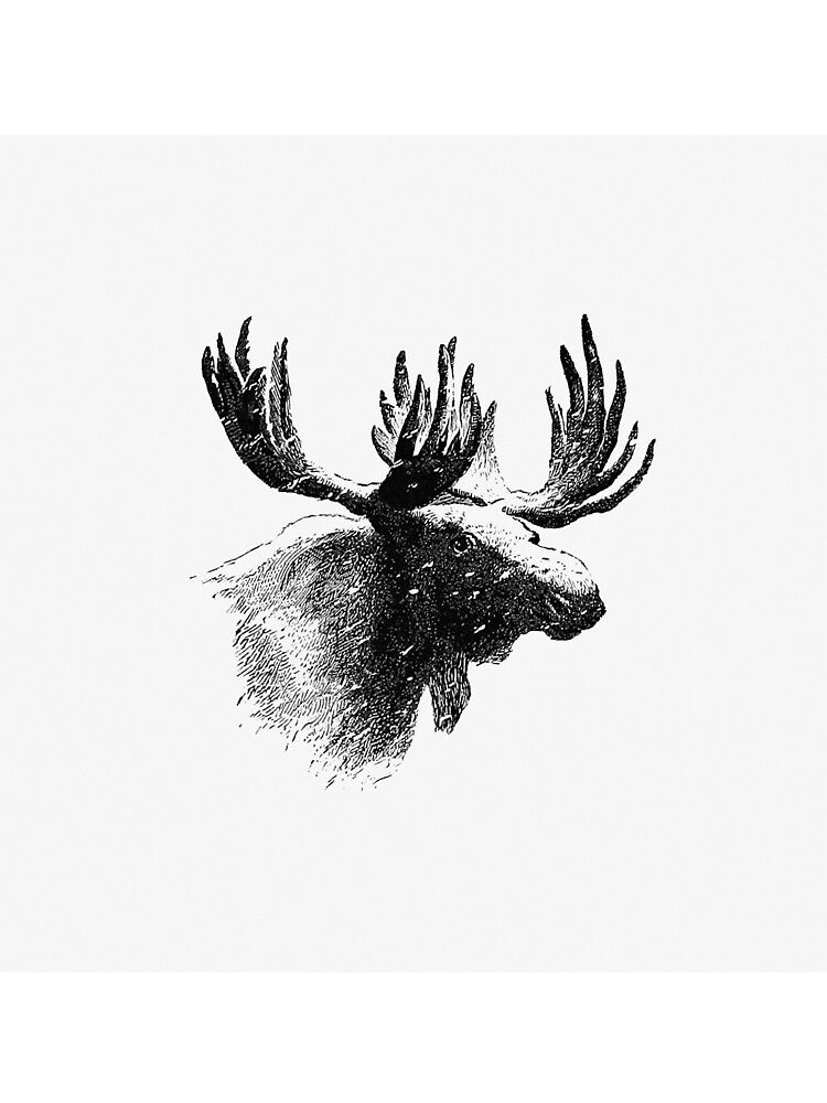 Vintage European style moose engraving from Nimrod in the North by Designedbysm